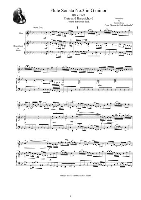Bach - Flute Sonata No.3 In G Minor BWV 1029 For Flute And Harpsichord (or Piano)